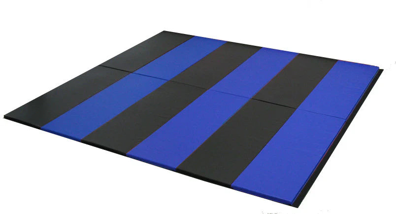 Impact-Zone Marked Gymnastics Mats: Training for Landing Accuracy