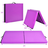 6 X 2 Feet Gymnastic Mat with Carrying Handles for Yoga