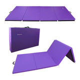 Gymnastics Mat, Extra Thick, High Density, Anti-Tear, 4√¢¬Ä¬Ôx10√¢¬Ä¬Ôx2", Purple