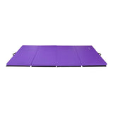 Gymnastics Mat, Extra Thick, High Density, Anti-Tear, 4√¢¬Ä¬Ôx10√¢¬Ä¬Ôx2", Purple