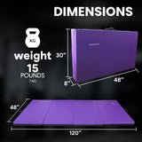 Gymnastics Mat, Extra Thick, High Density, Anti-Tear, 4√¢¬Ä¬Ôx10√¢¬Ä¬Ôx2", Purple